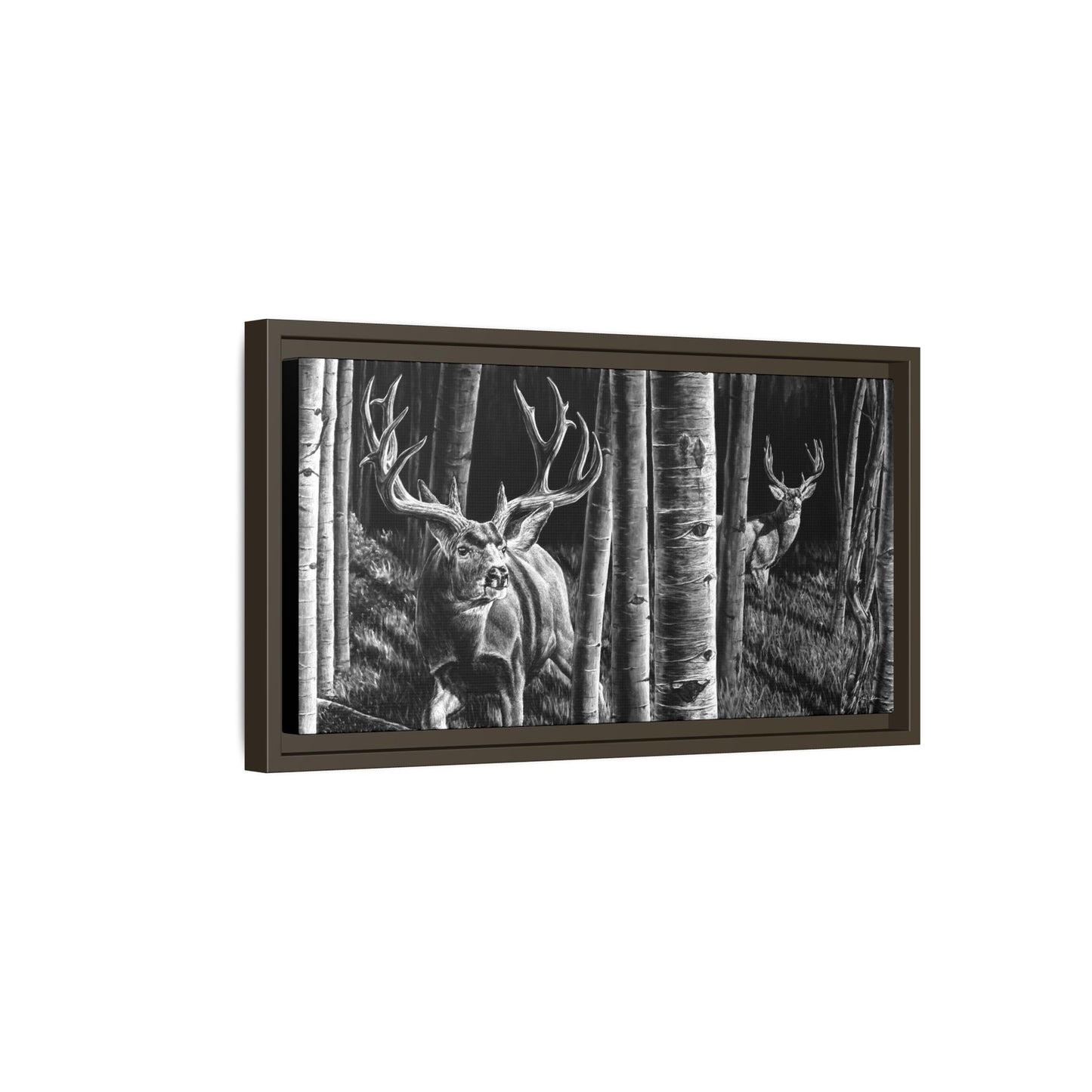 "Out of the Shadows" Framed Canvas