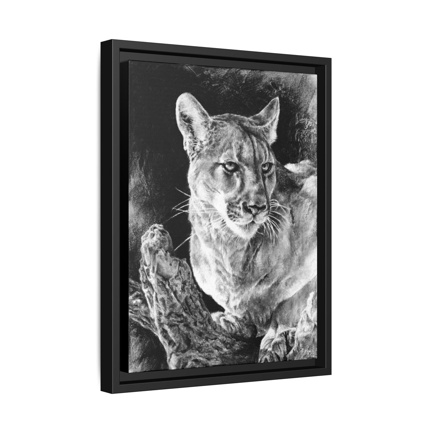 "Mountain Lion" Framed Canvas