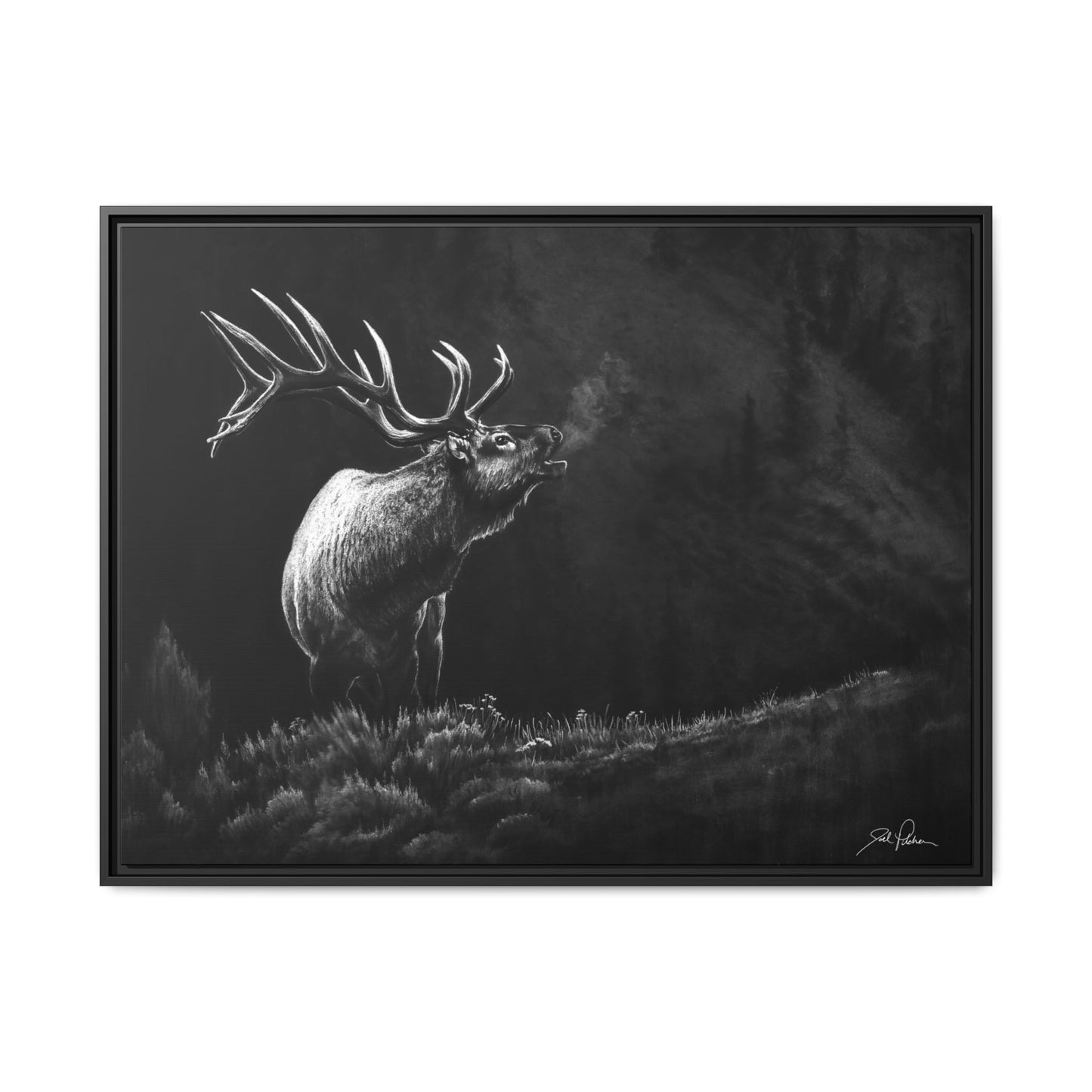 "Mountain Monarch" Framed Canvas
