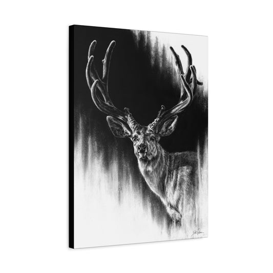 "Summer Swag" Stretched Canvas