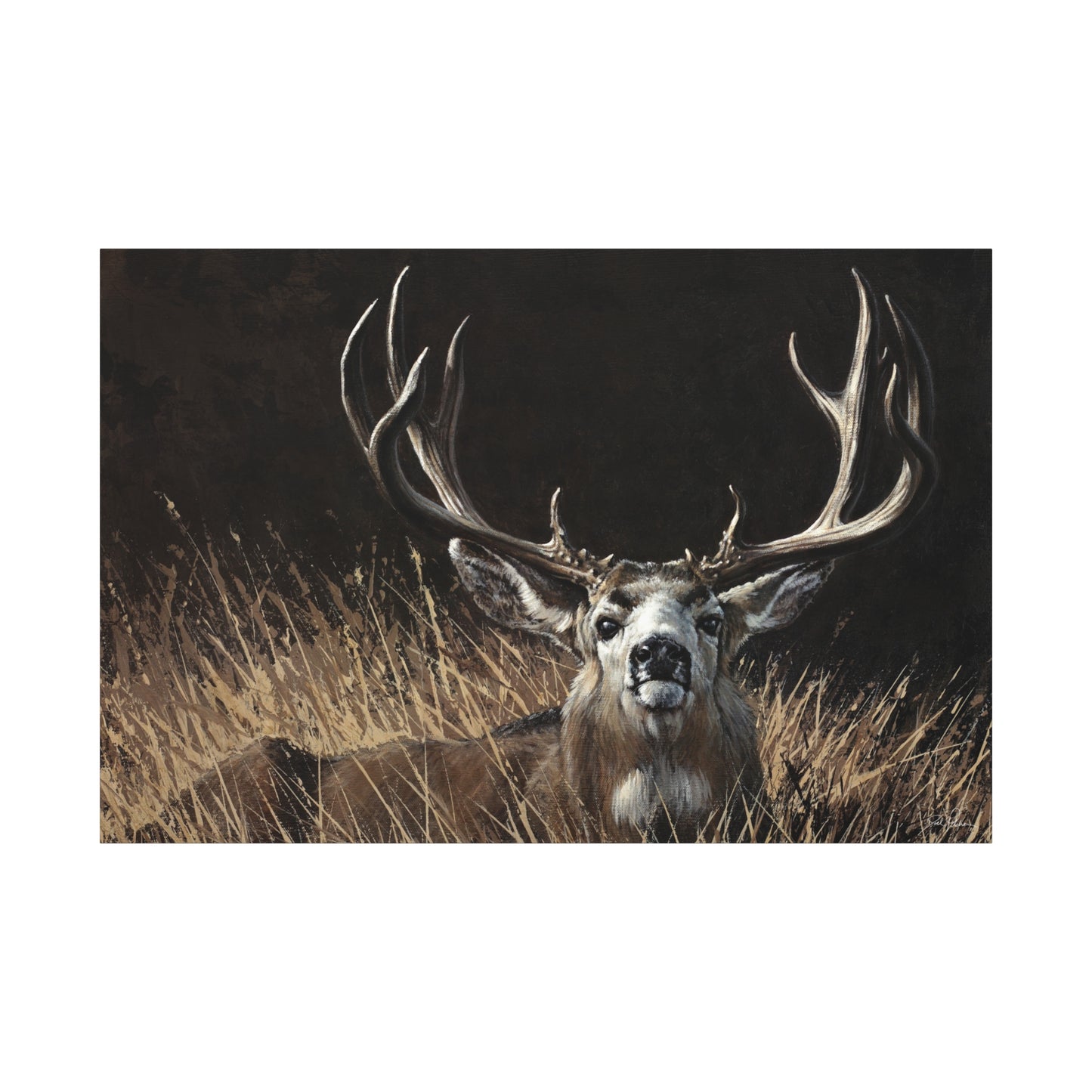 "Eye Contact" Stretched Canvas