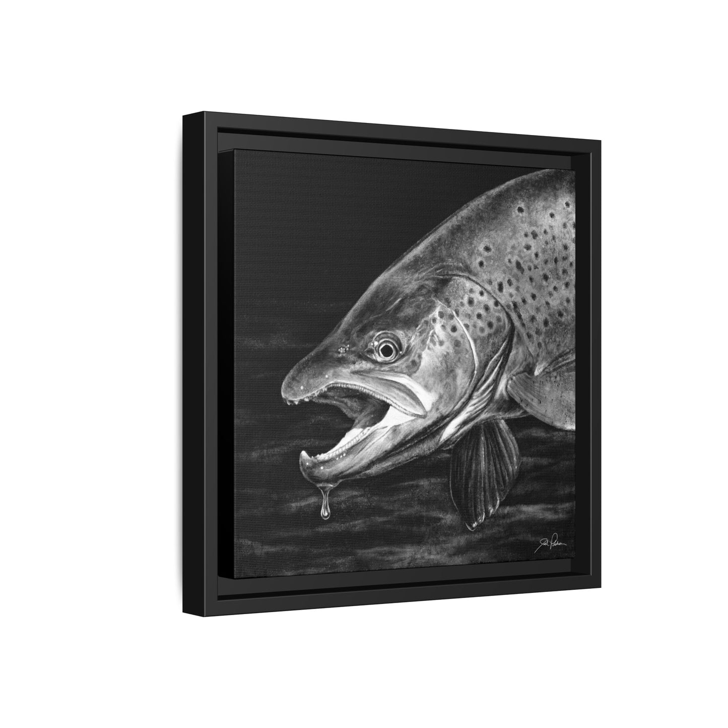 "Brown Trout" Framed Canvas