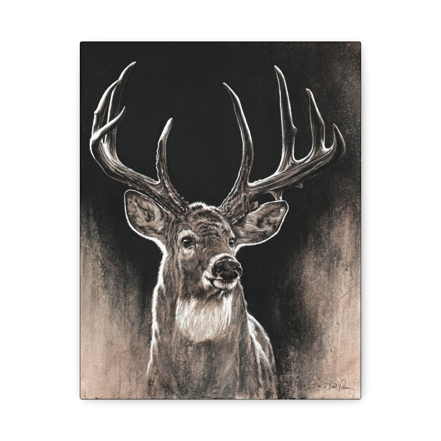 "Backlit Buck" Stretched Canvas