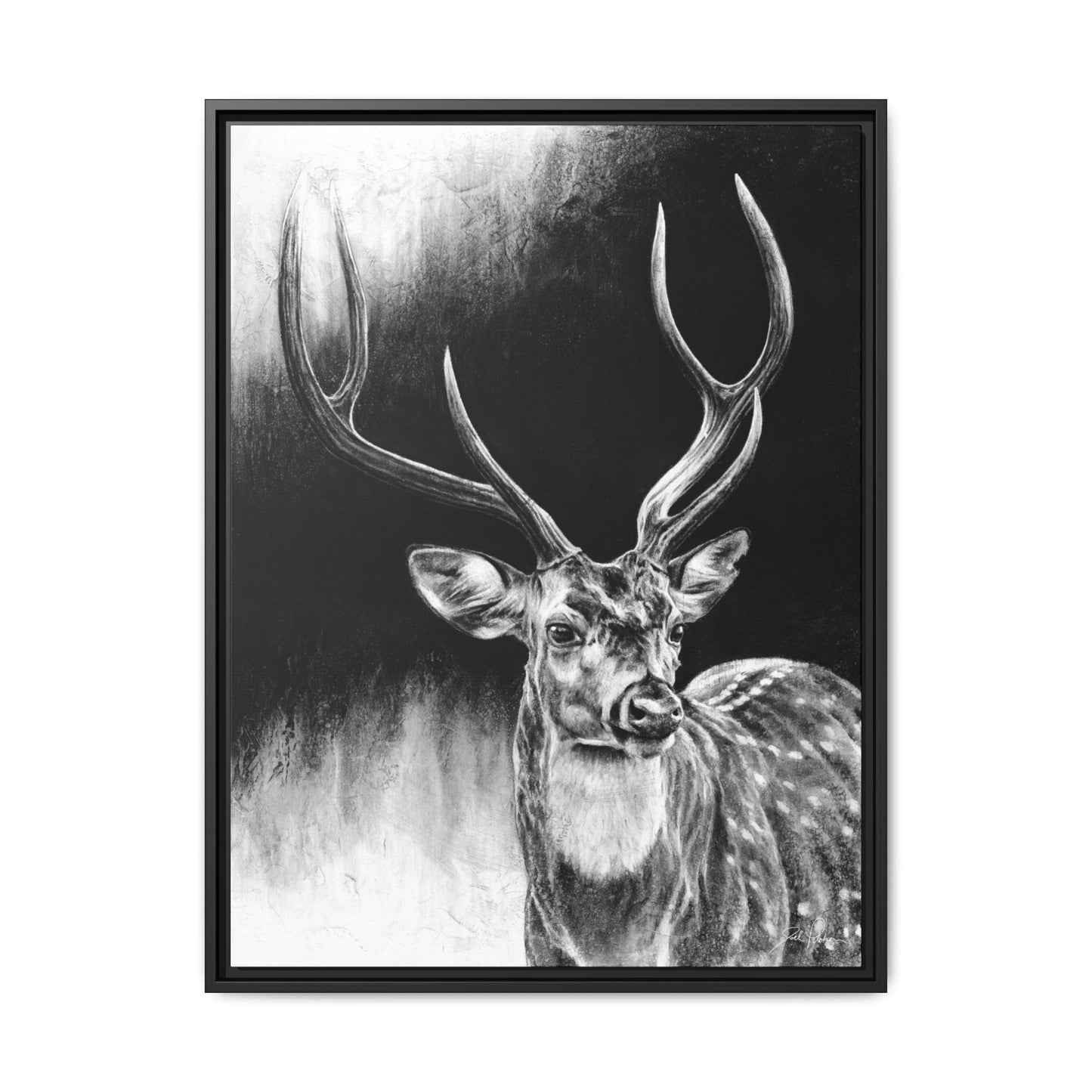 "Axis Buck" Framed Canvas
