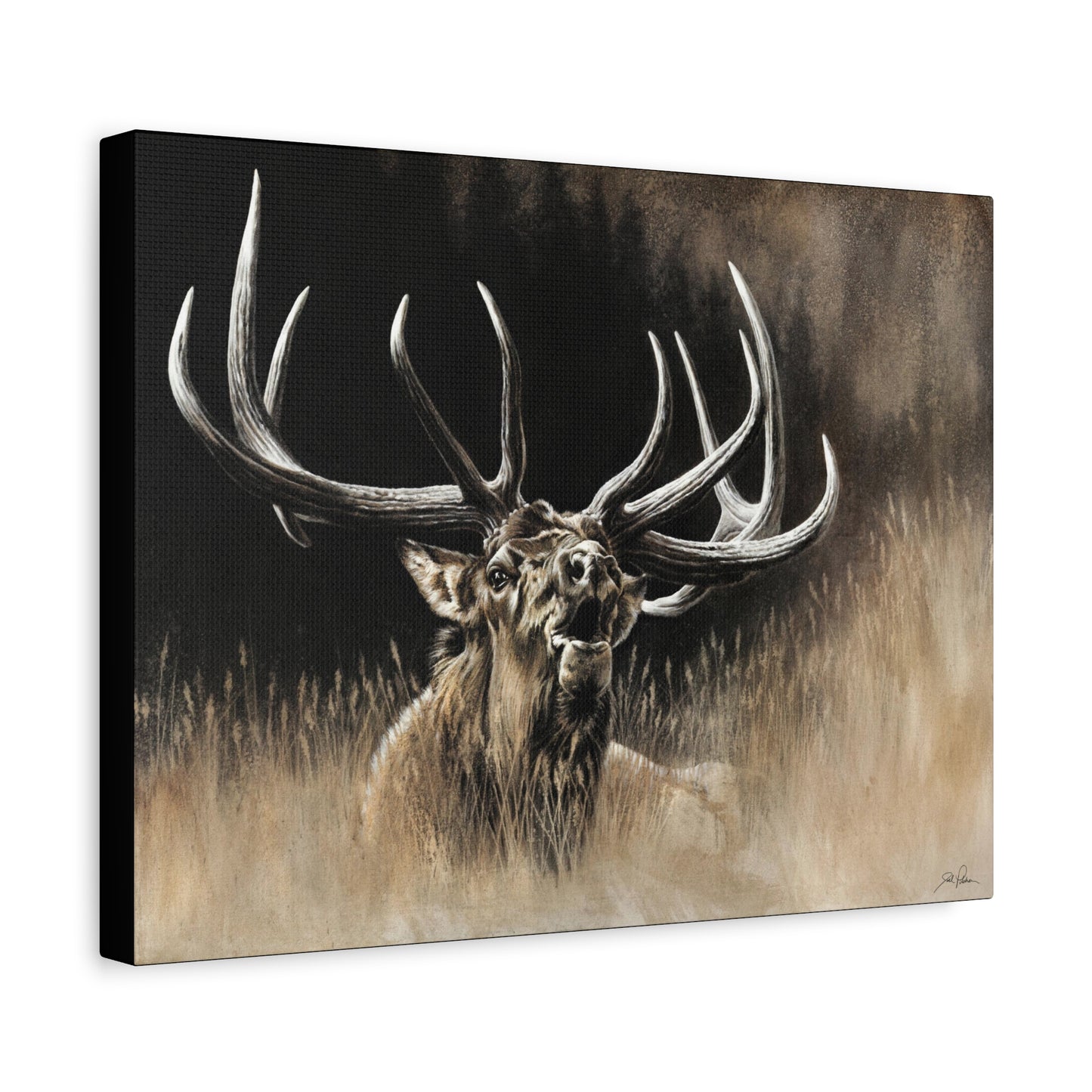 "Wake Up Call" Stretched Canvas