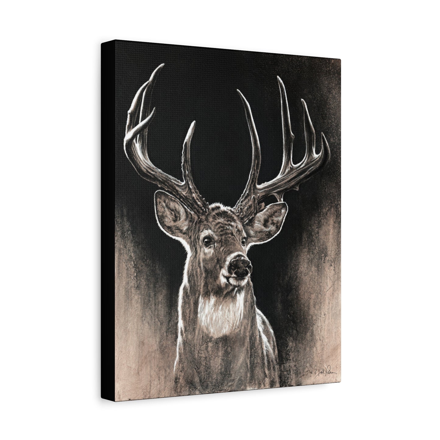 "Backlit Buck" Stretched Canvas