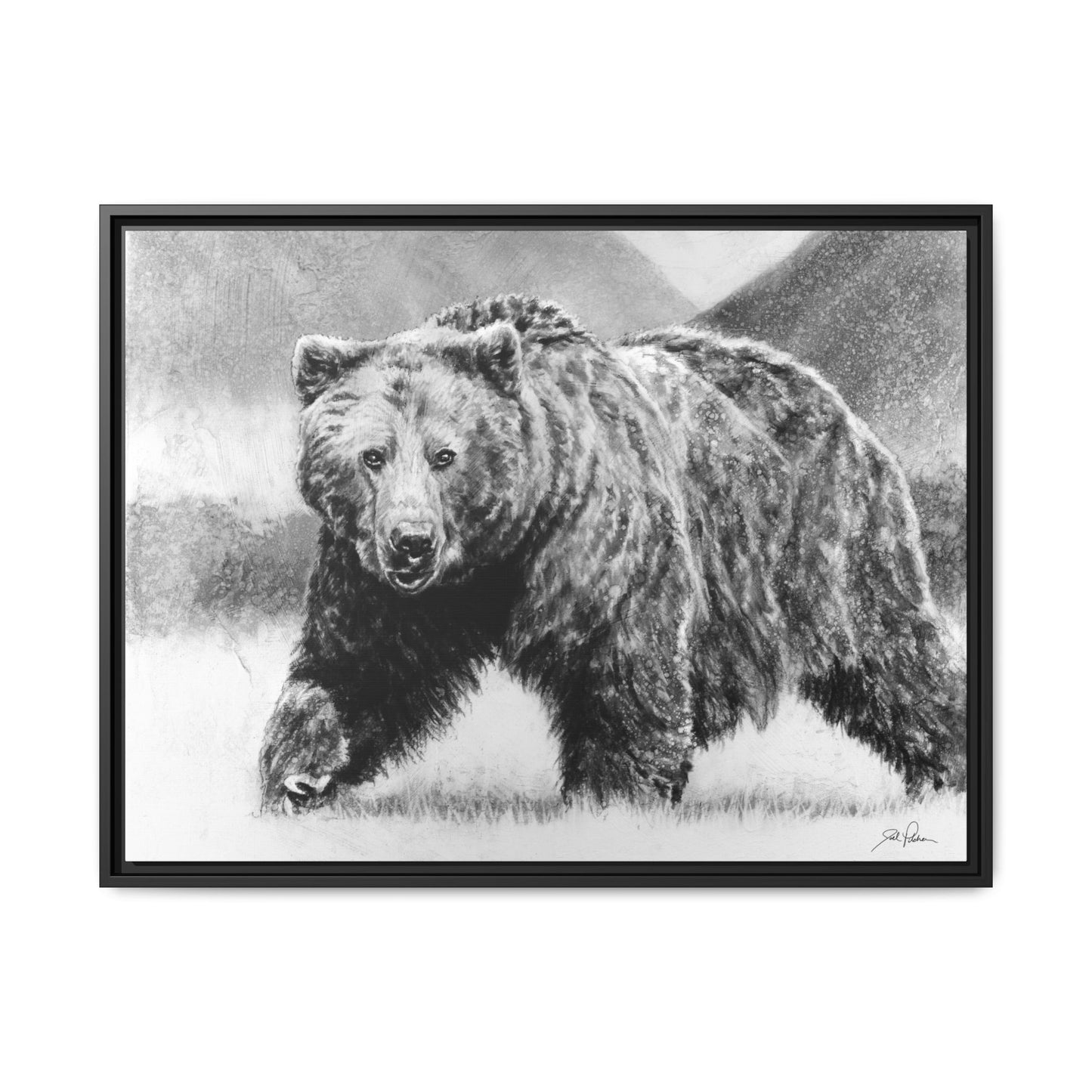 Grizzly II" Framed Canvas