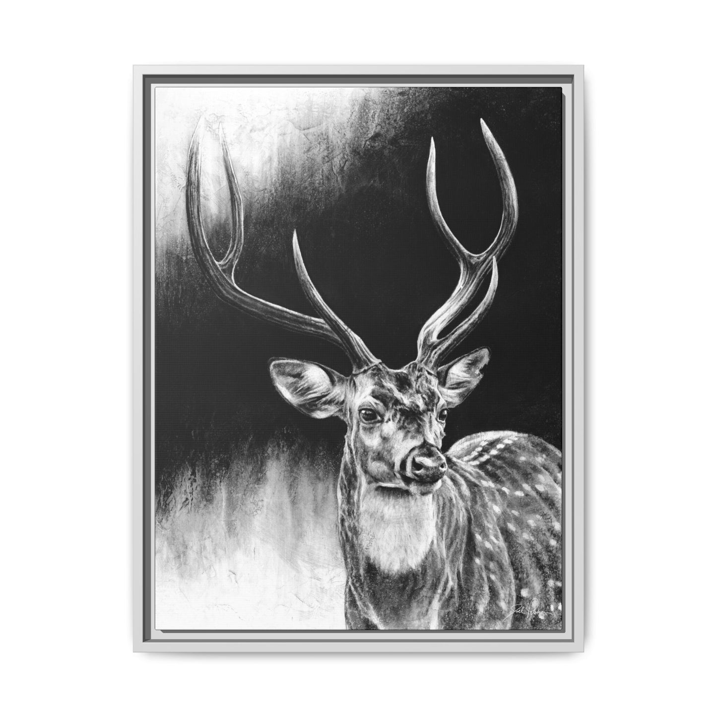 "Axis Buck" Framed Canvas