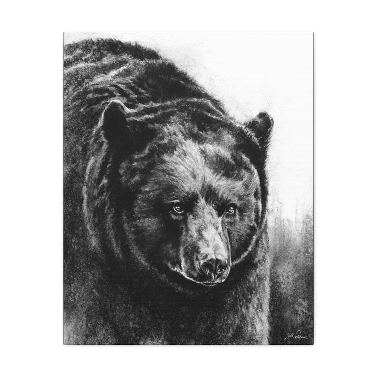 "Black Bear" Stretched Canvas