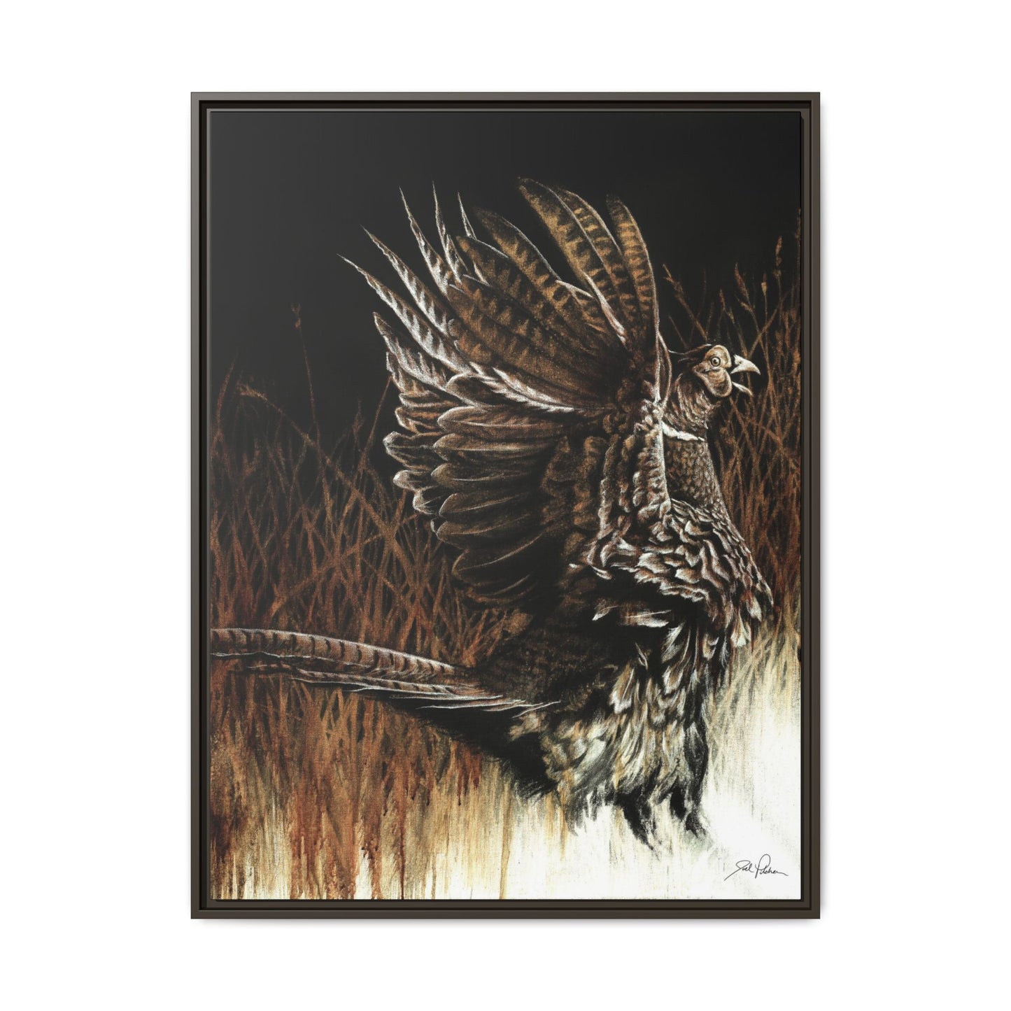 "Call of the Upland Pheasant" Framed Canvas