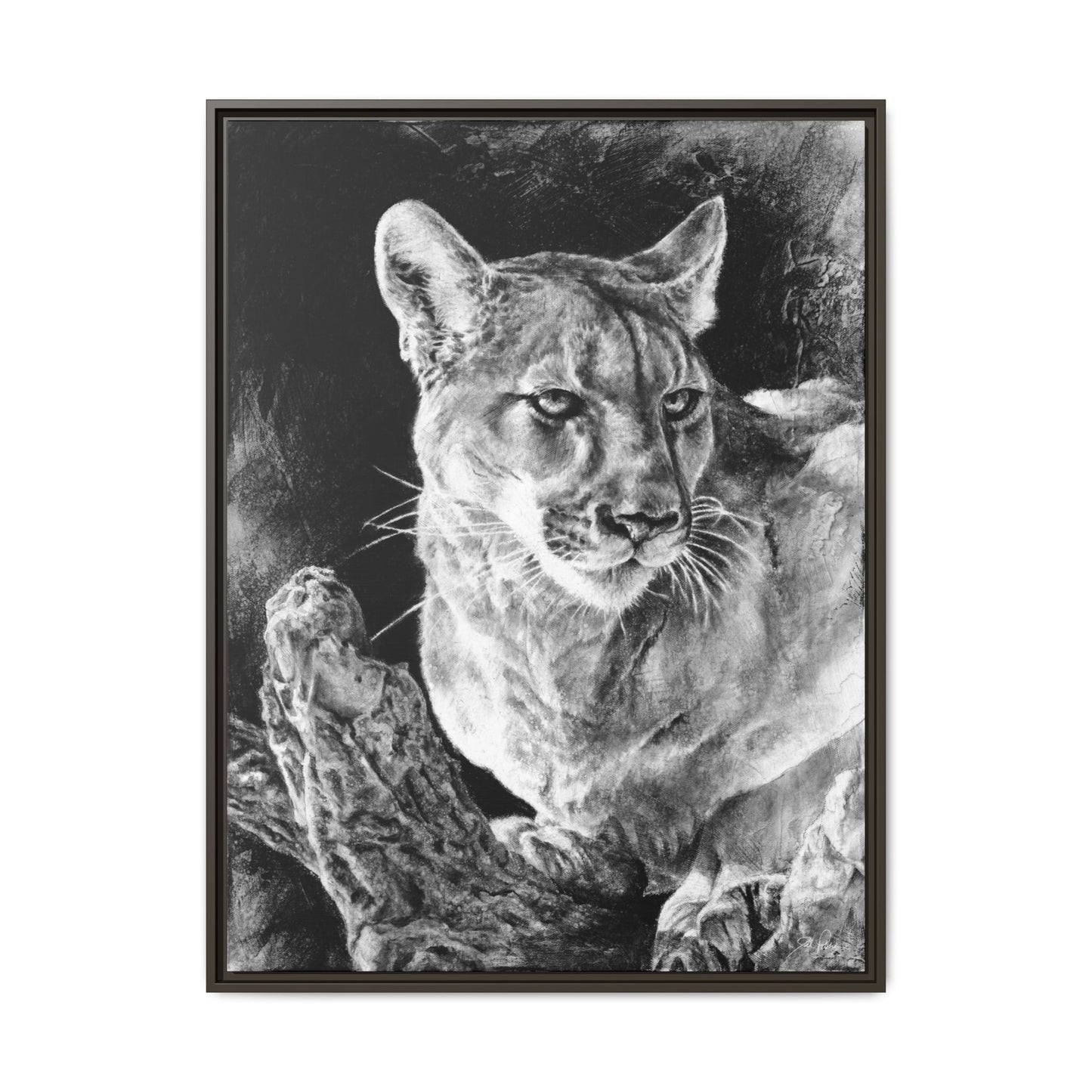 "Mountain Lion" Framed Canvas