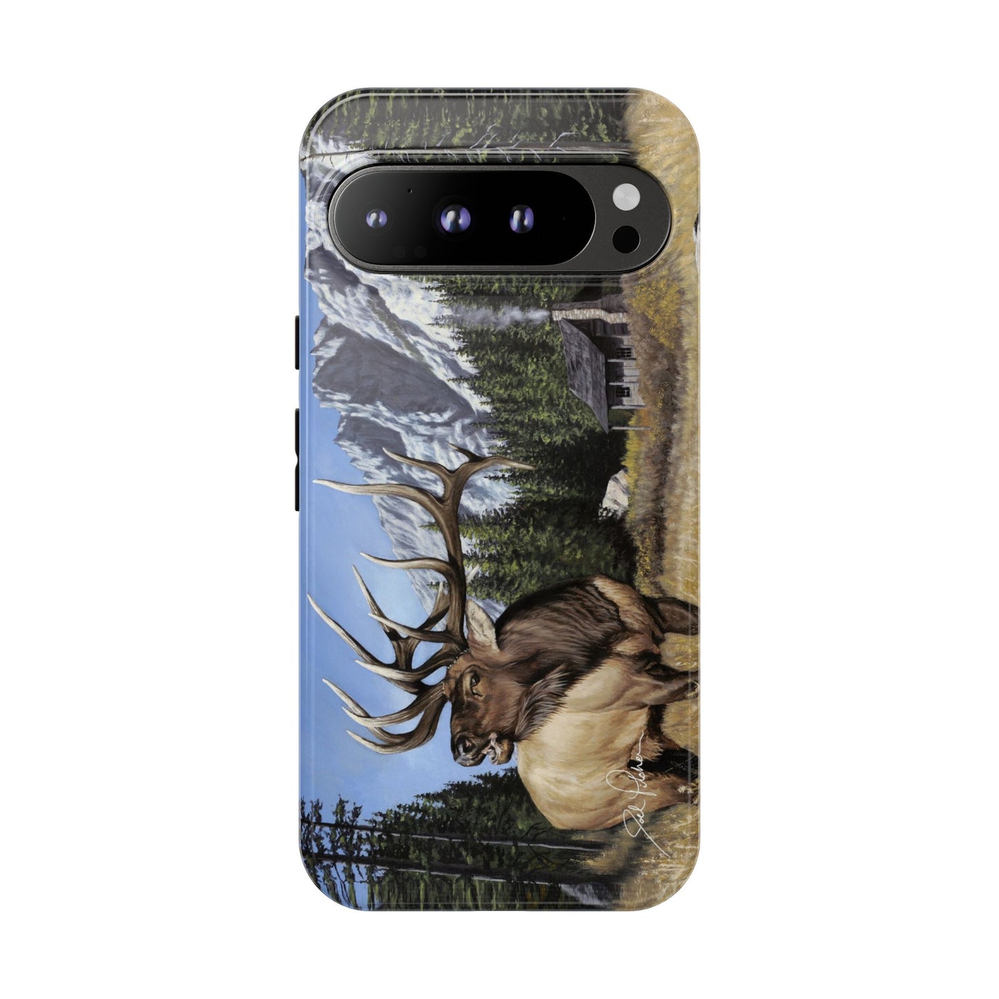 "Sanctuary" Google Pixel 9 Tough Cases