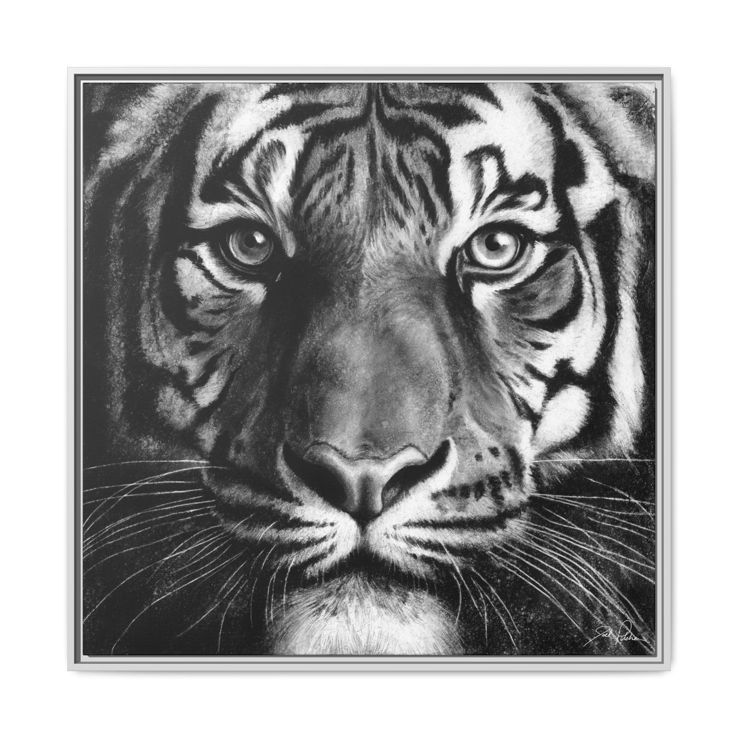 "Tiger" Framed Canvas