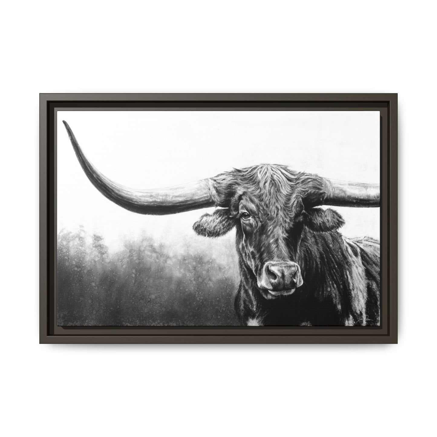 "Longhorn" Framed Canvas