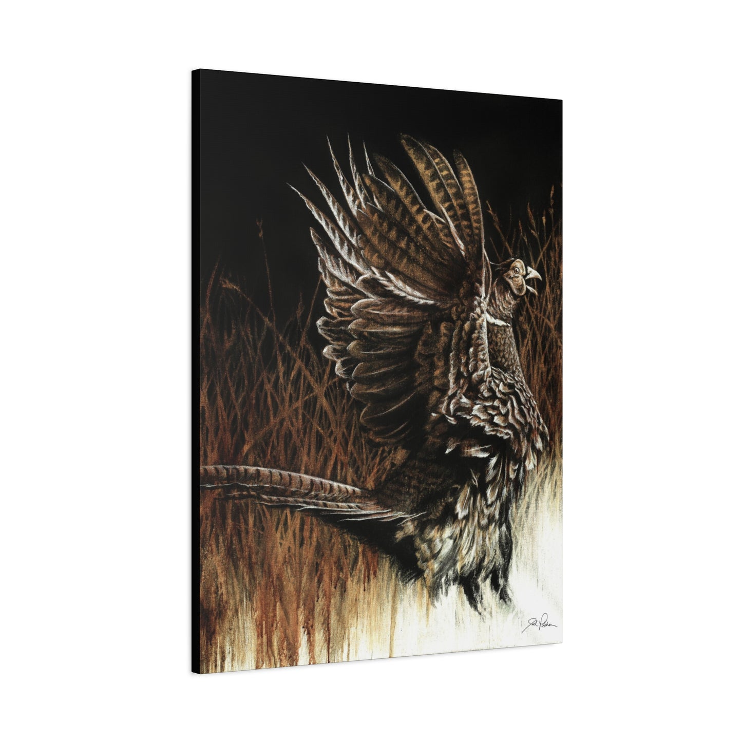 "Call of the Upland Pheasant" Stretched Canvas
