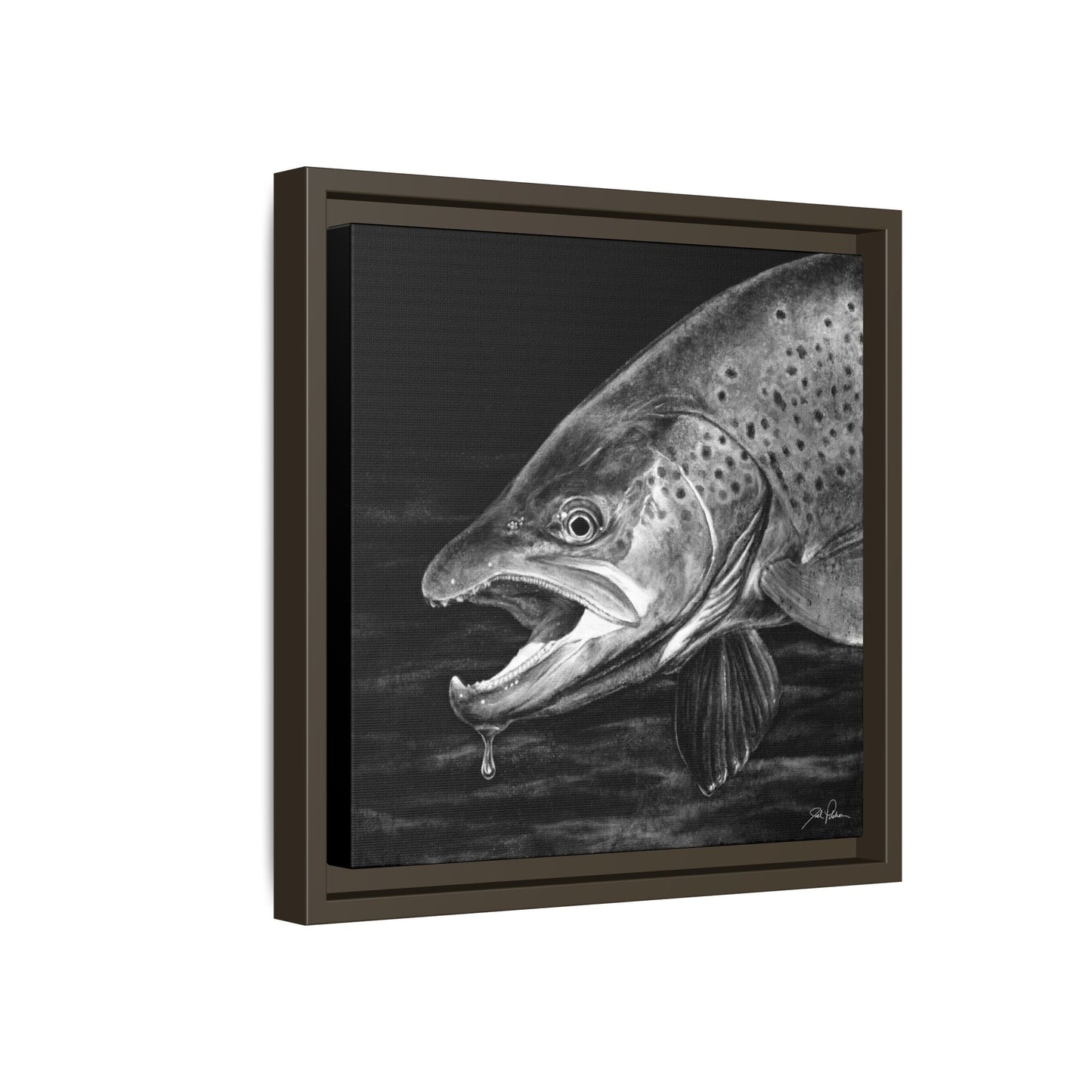 "Brown Trout" Framed Canvas