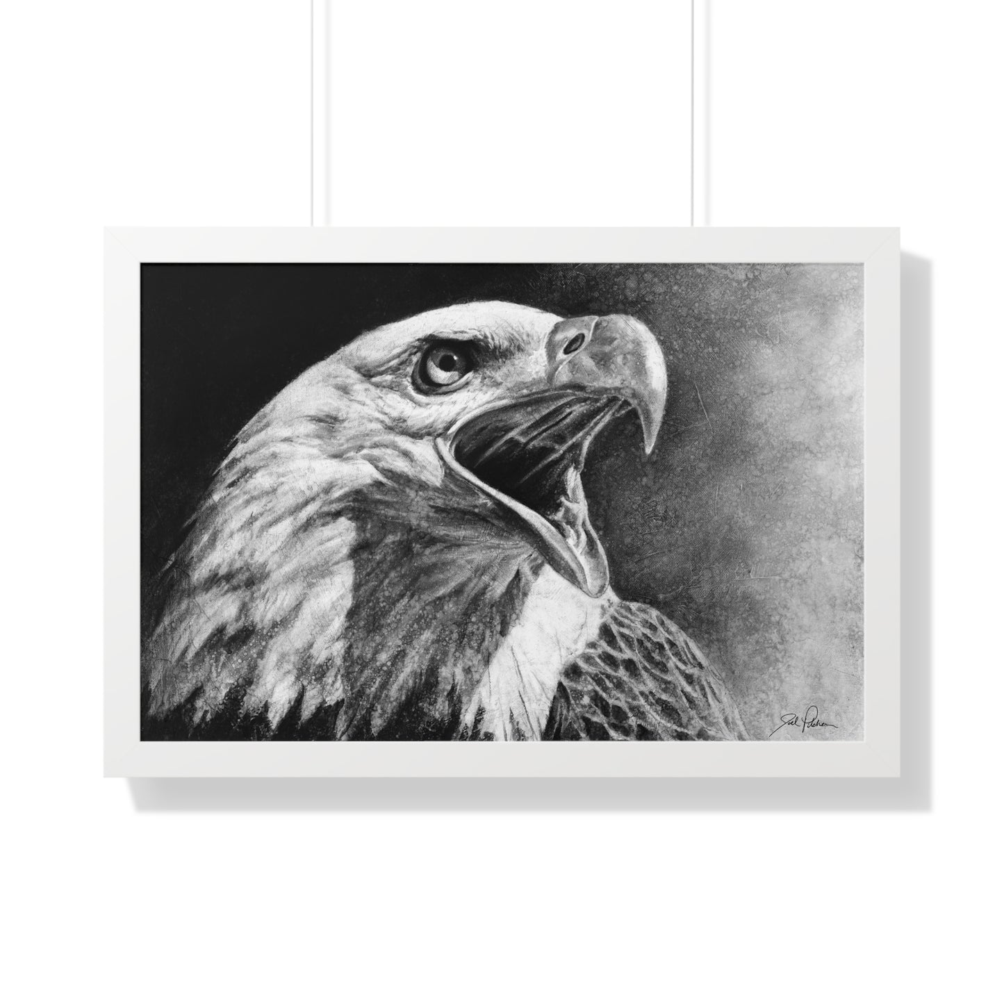 "Bald Eagle" Framed Paper Print