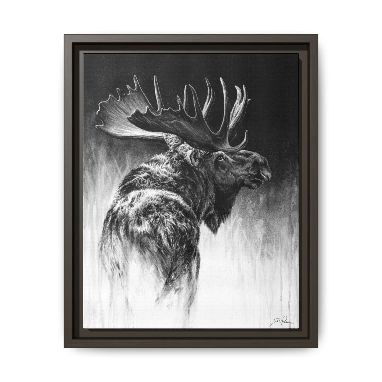 "Bull Moose" Framed Canvas