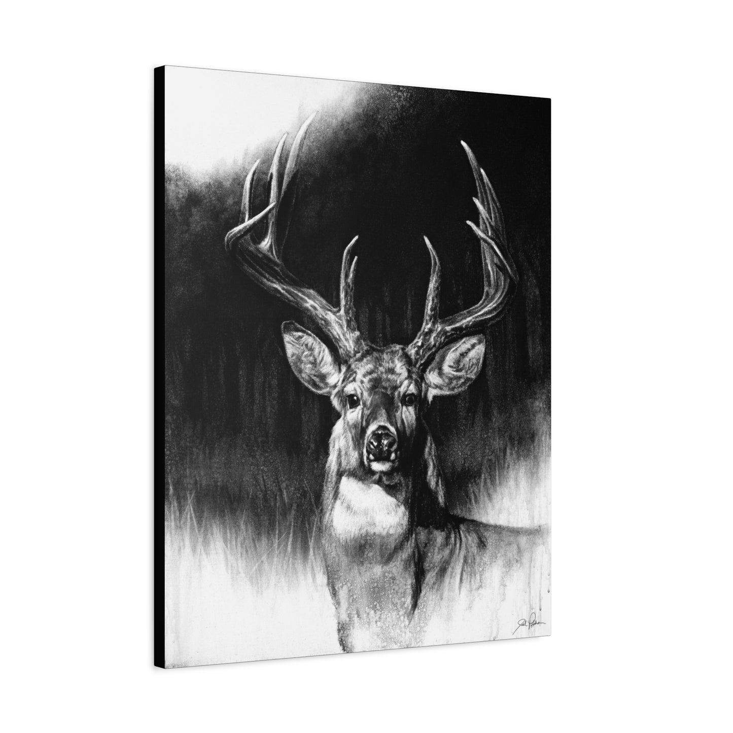 "Whitetail" Stretched Canvas