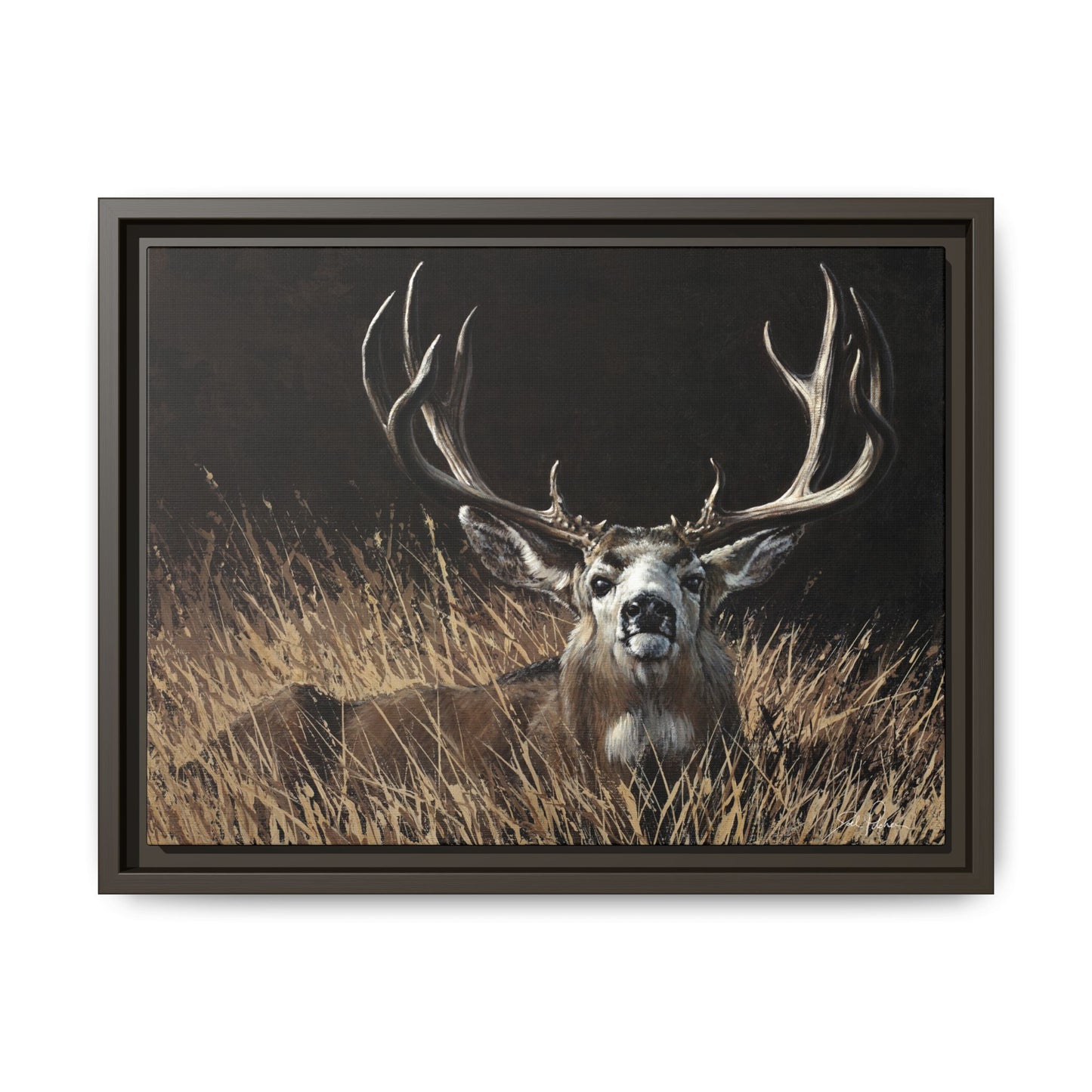 "Eye Contact" Framed Canvas