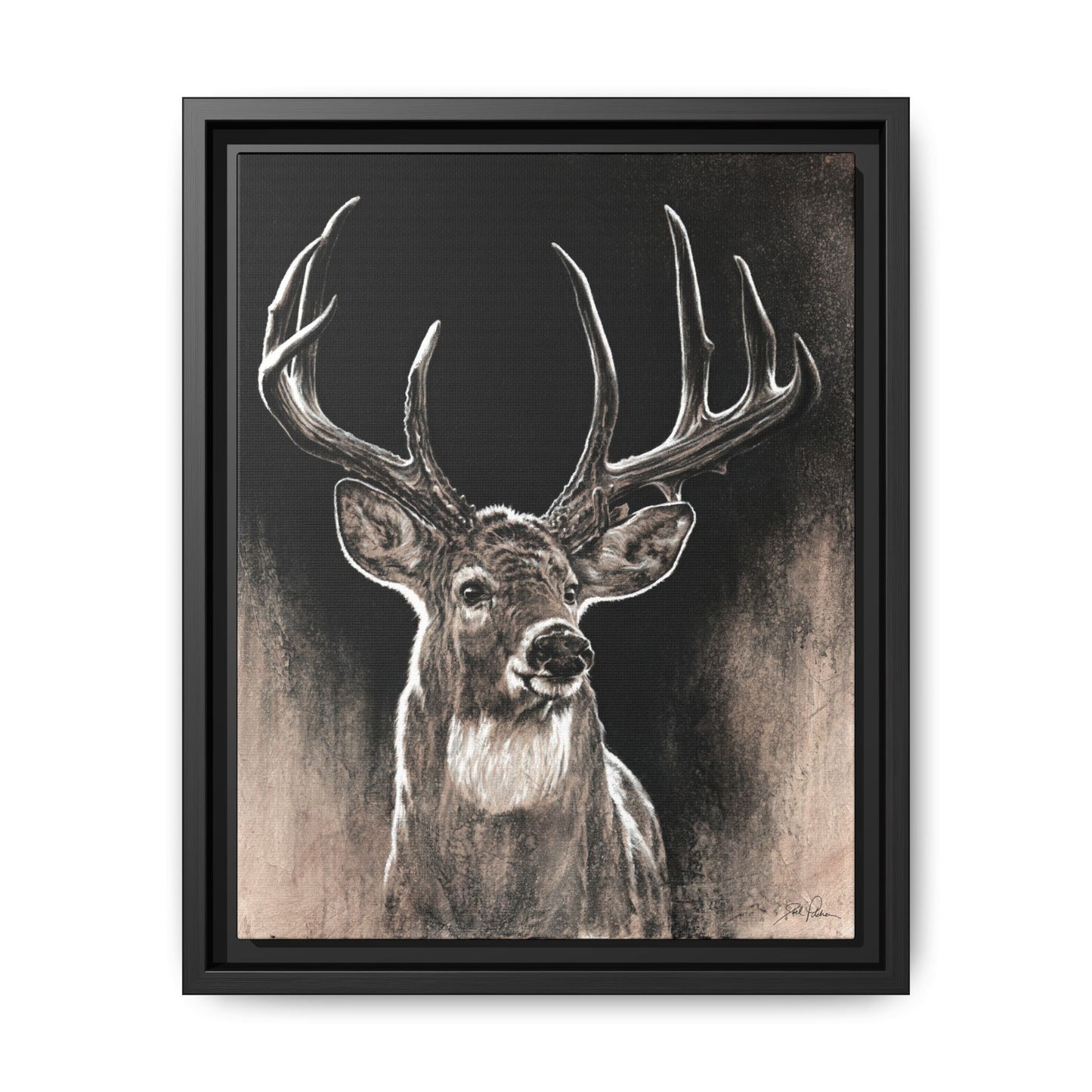 "Backlit Buck" Framed Canvas