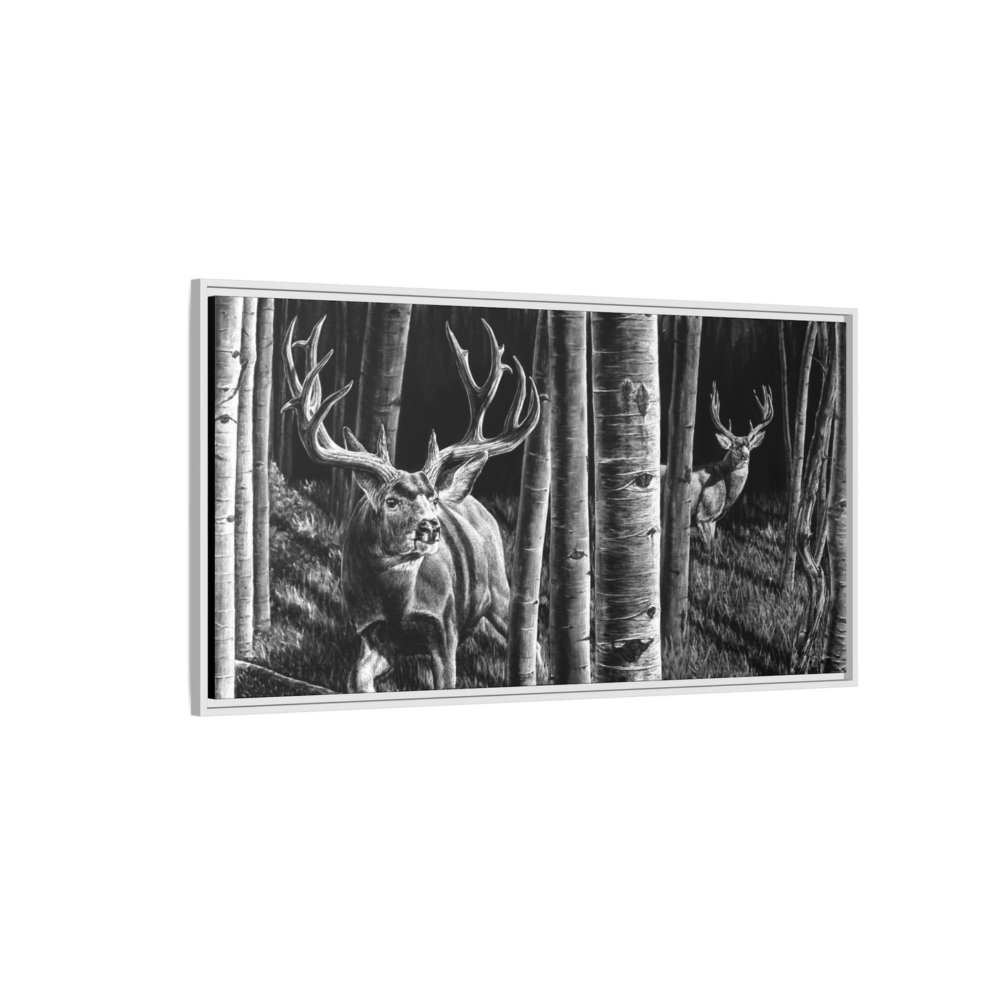 "Out of the Shadows" Framed Canvas