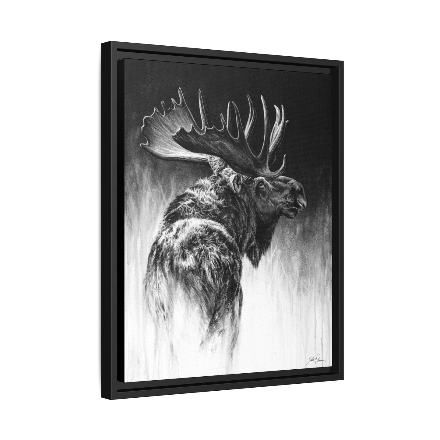 "Bull Moose" Framed Canvas