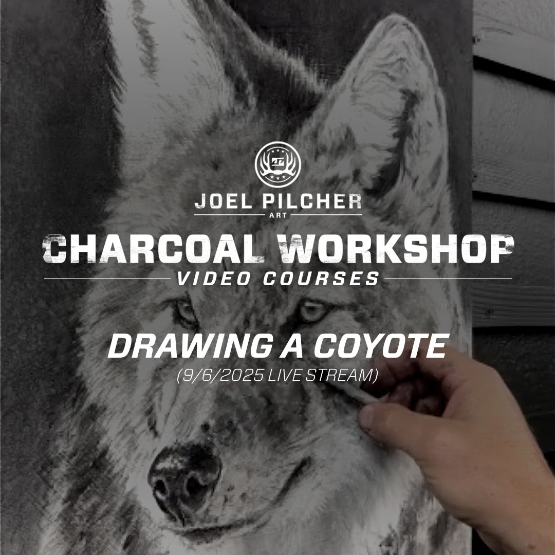 Charcoal Workshop: Drawing a Coyote