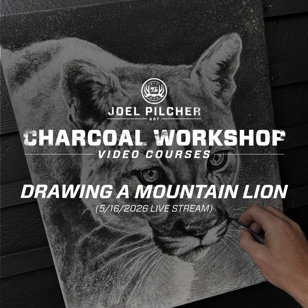Charcoal Workshop: Drawing a Mountain Lion