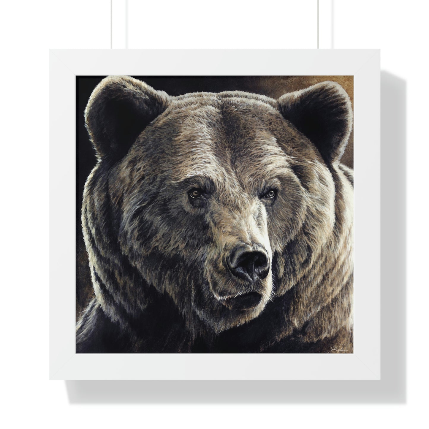 "Kodiak" Framed Paper Print