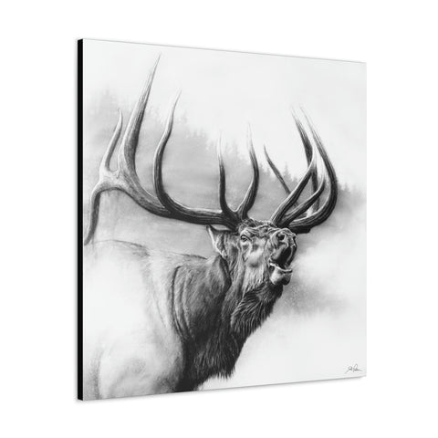 "Rocky Mountain King" Gallery Wrapped Canvas