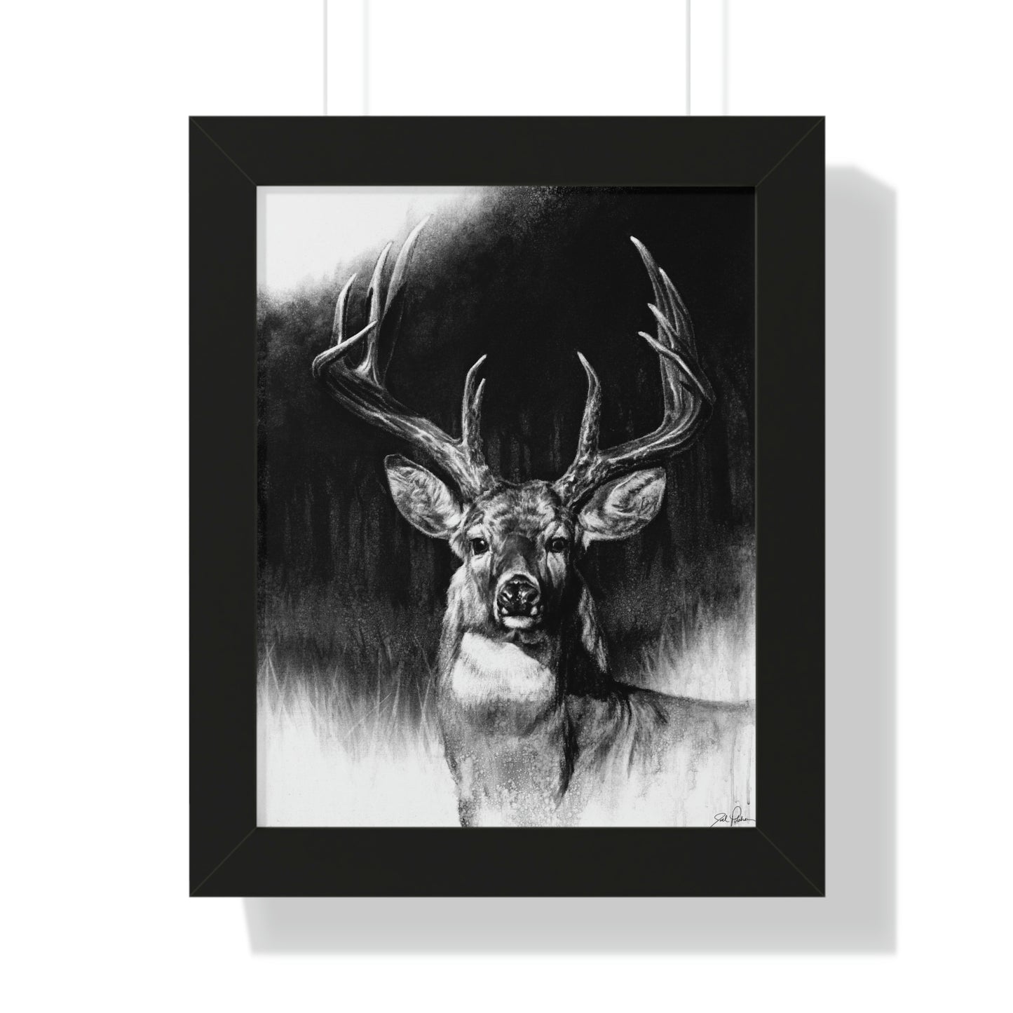 "Whitetail" Framed Paper Print