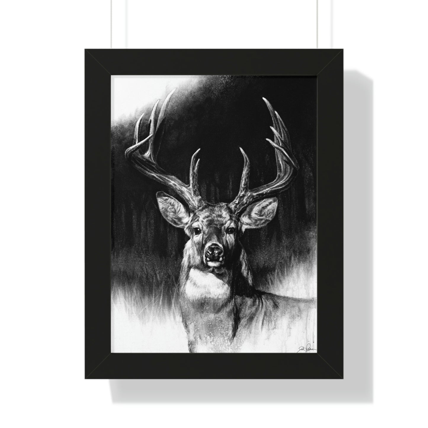 "Whitetail" Framed Paper Print