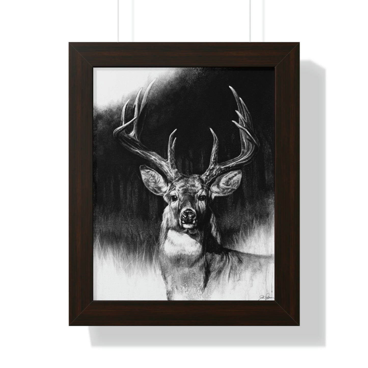 "Whitetail" Framed Paper Print