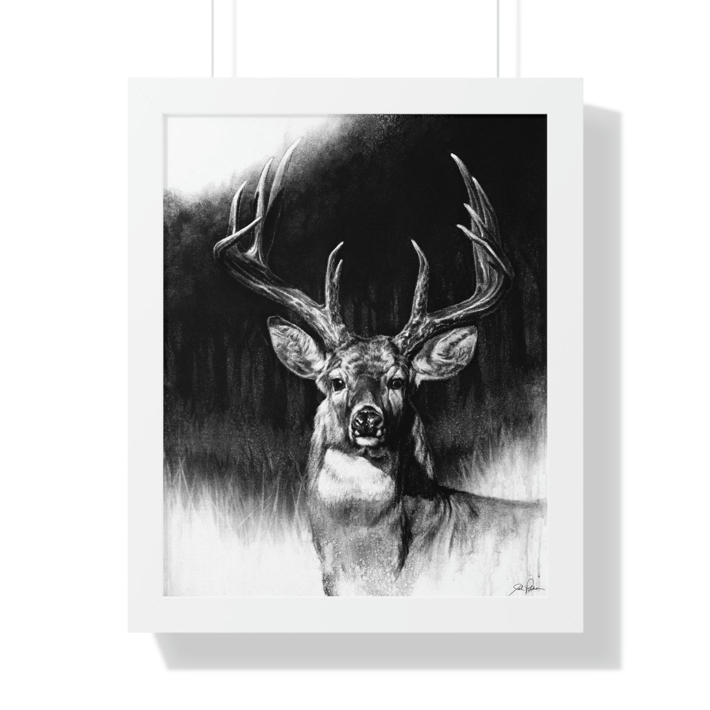 "Whitetail" Framed Paper Print
