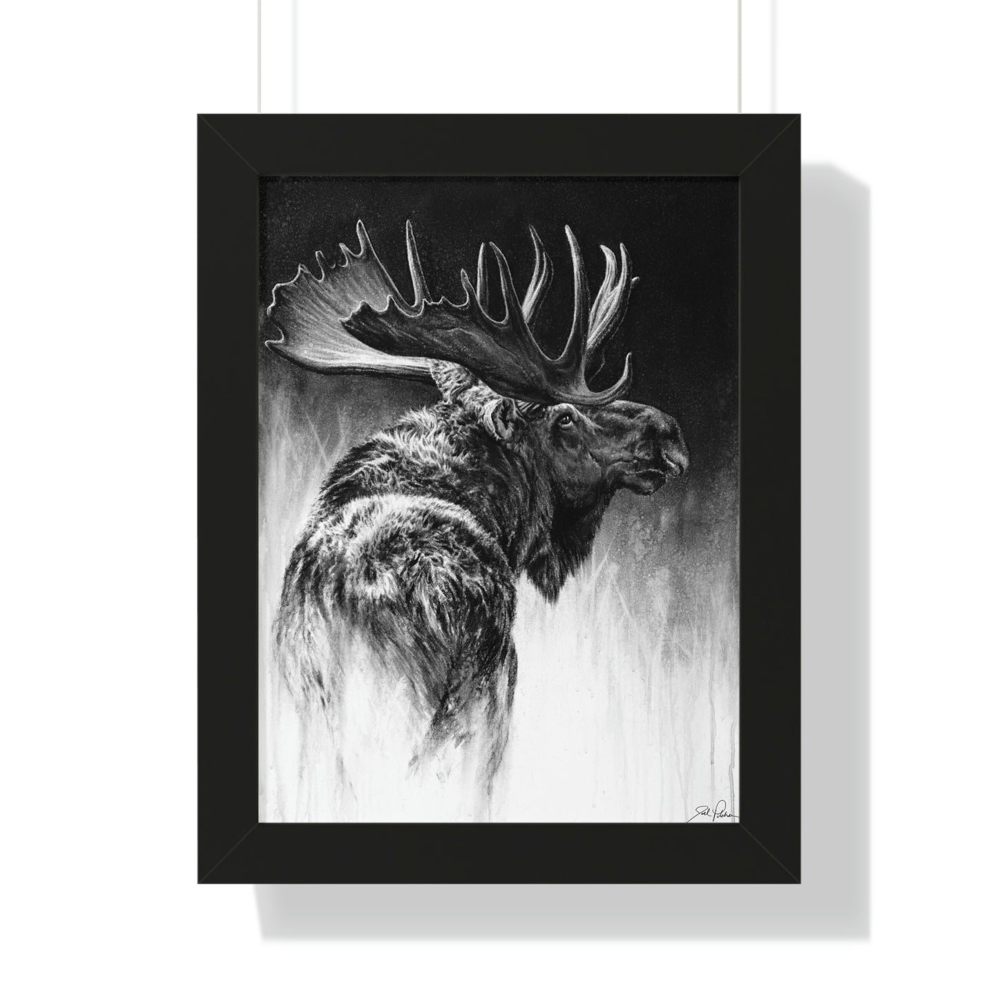 "Bull Moose" Framed Paper Print
