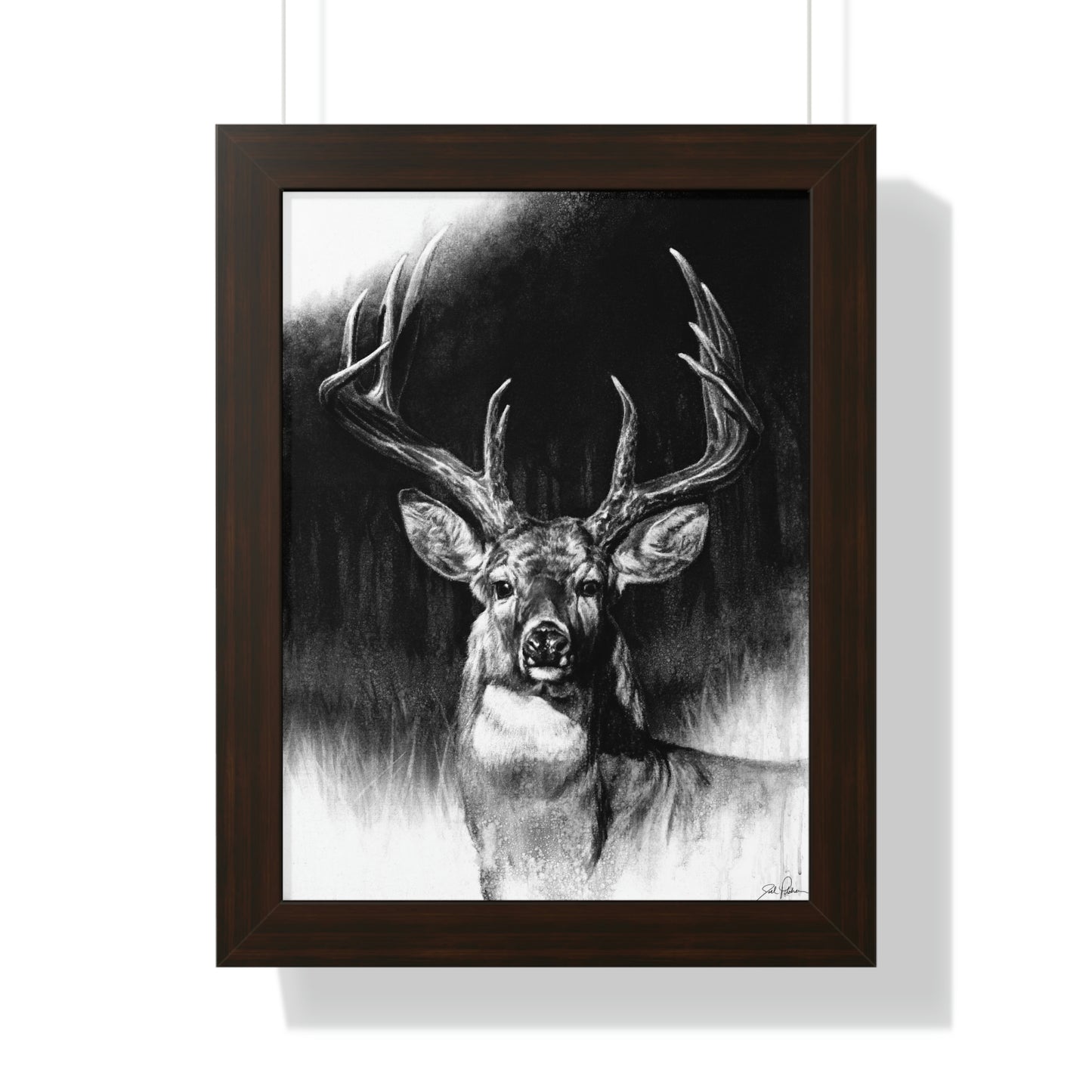 "Whitetail" Framed Paper Print