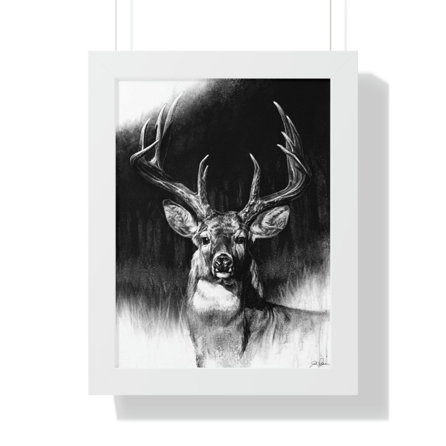 "Whitetail" Framed Paper Print