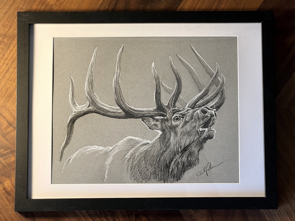 Original Elk Sketch V