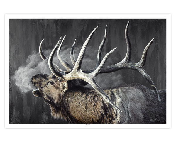 Wildlife