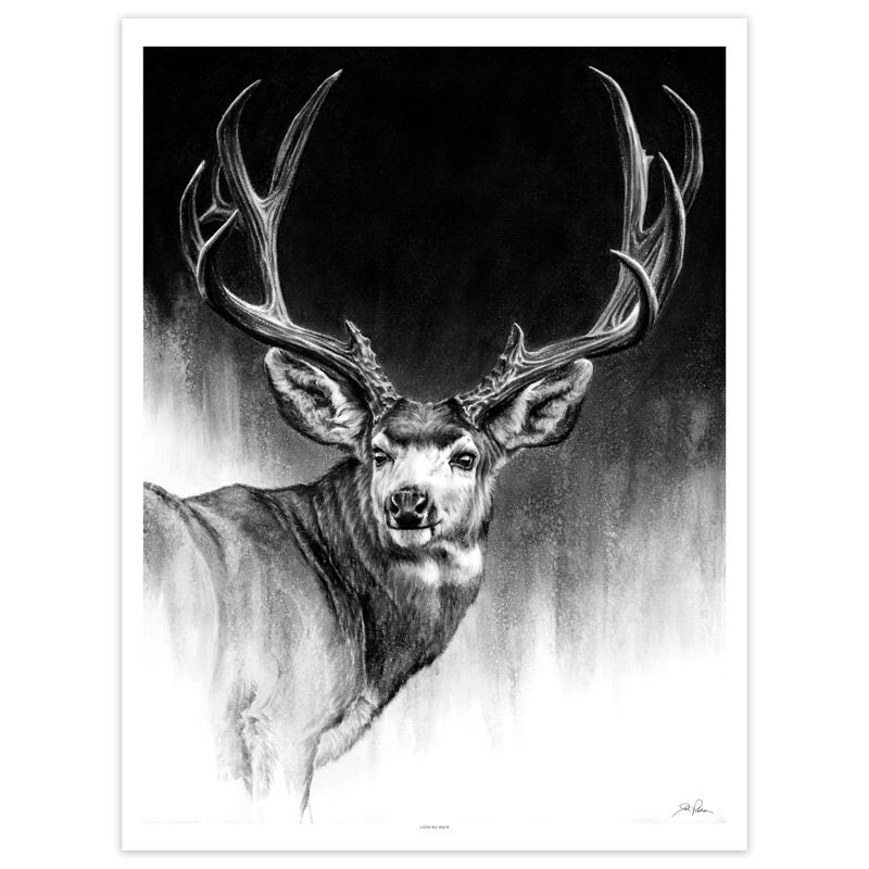 Charcoal