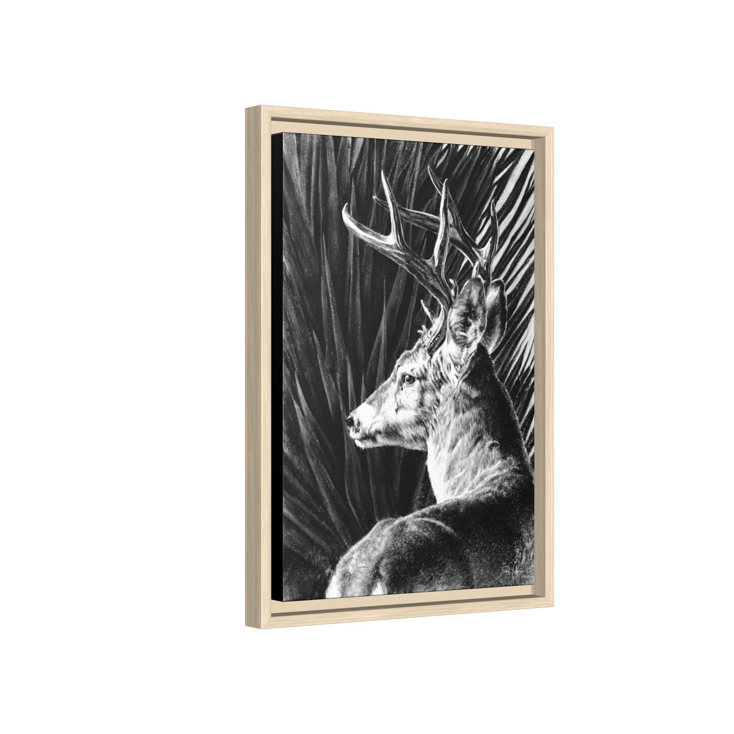"Coues Buck" Framed Canvas