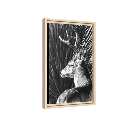 "Coues Buck" Framed Canvas