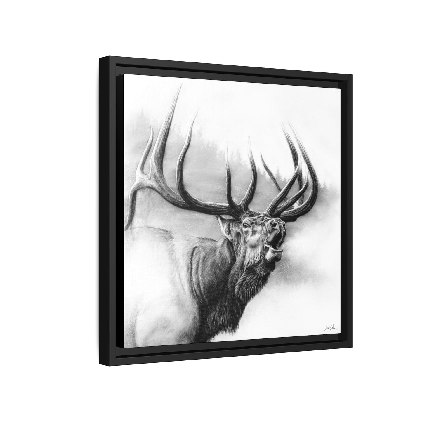 "Rocky Mountain King" Framed Canvas