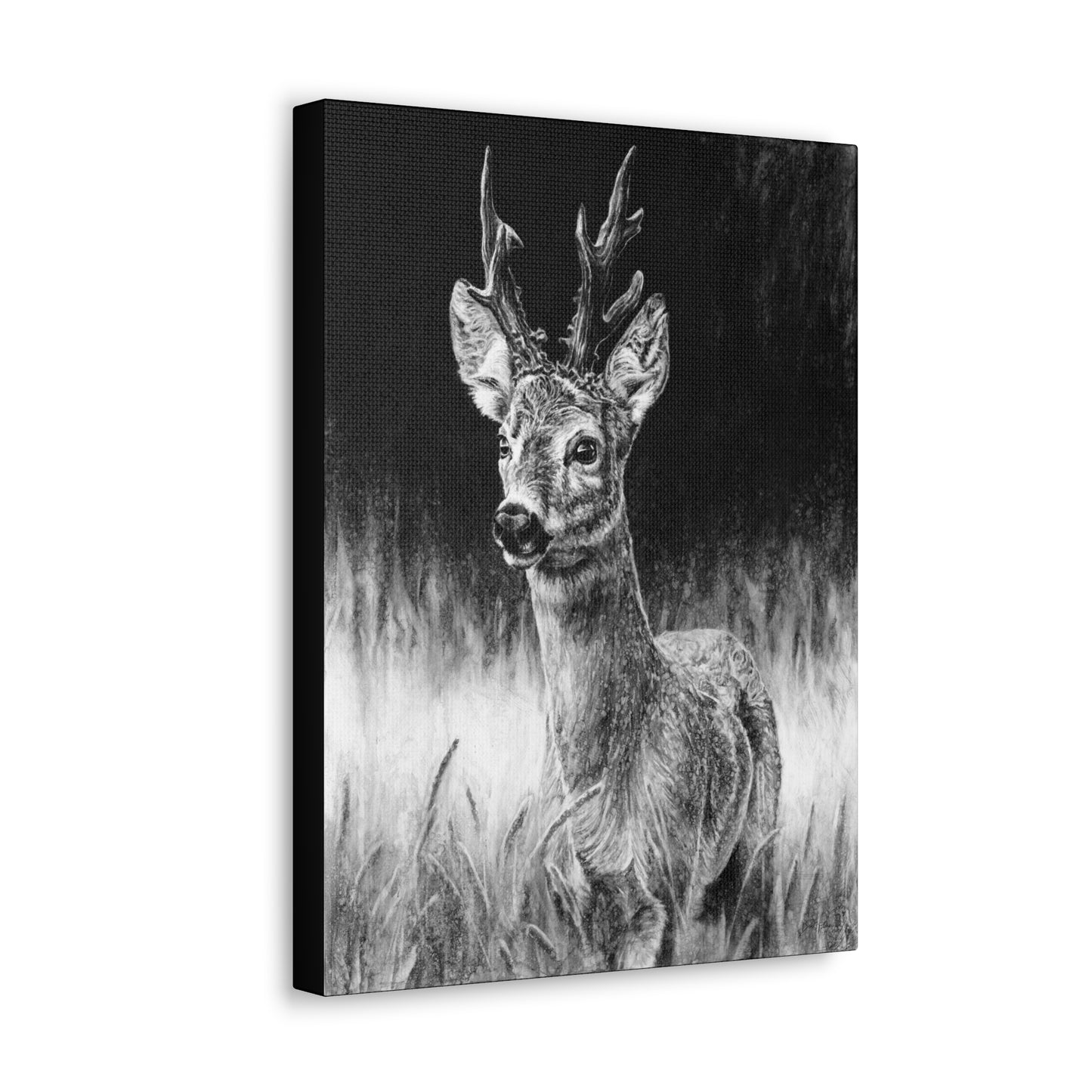 "Roe Deer" Gallery Wrapped Canvas