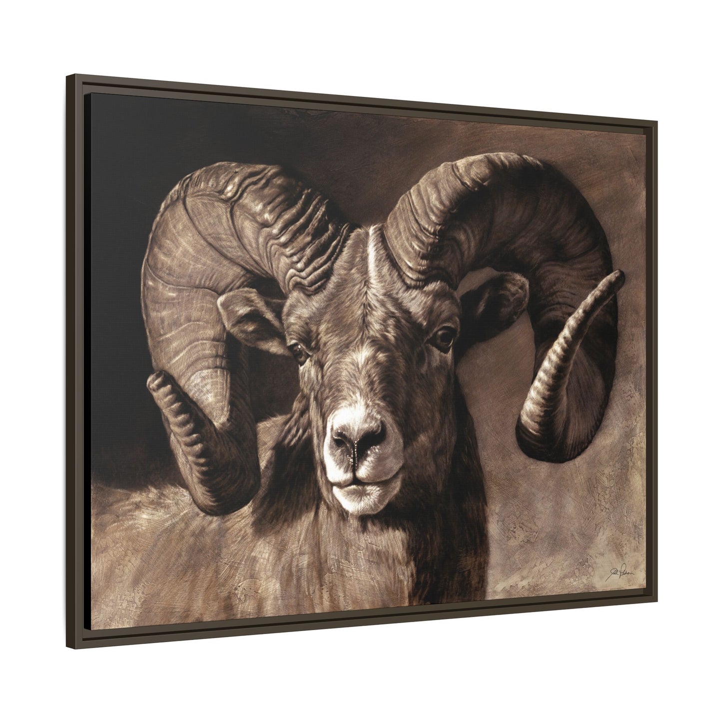 "Full Curl" Framed Canvas