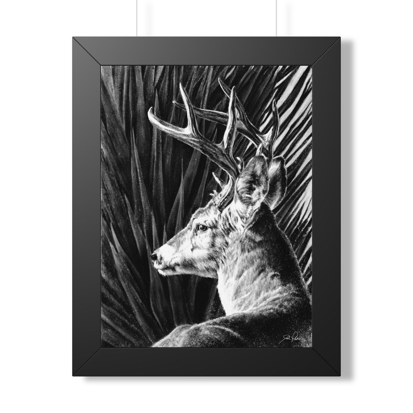 "Coues Buck" Framed Paper Print
