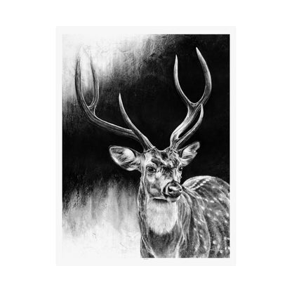 "Axis Buck" Premium Matte Paper Print.