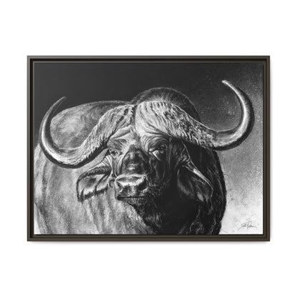 "Cape Buffalo" Framed Canvas
