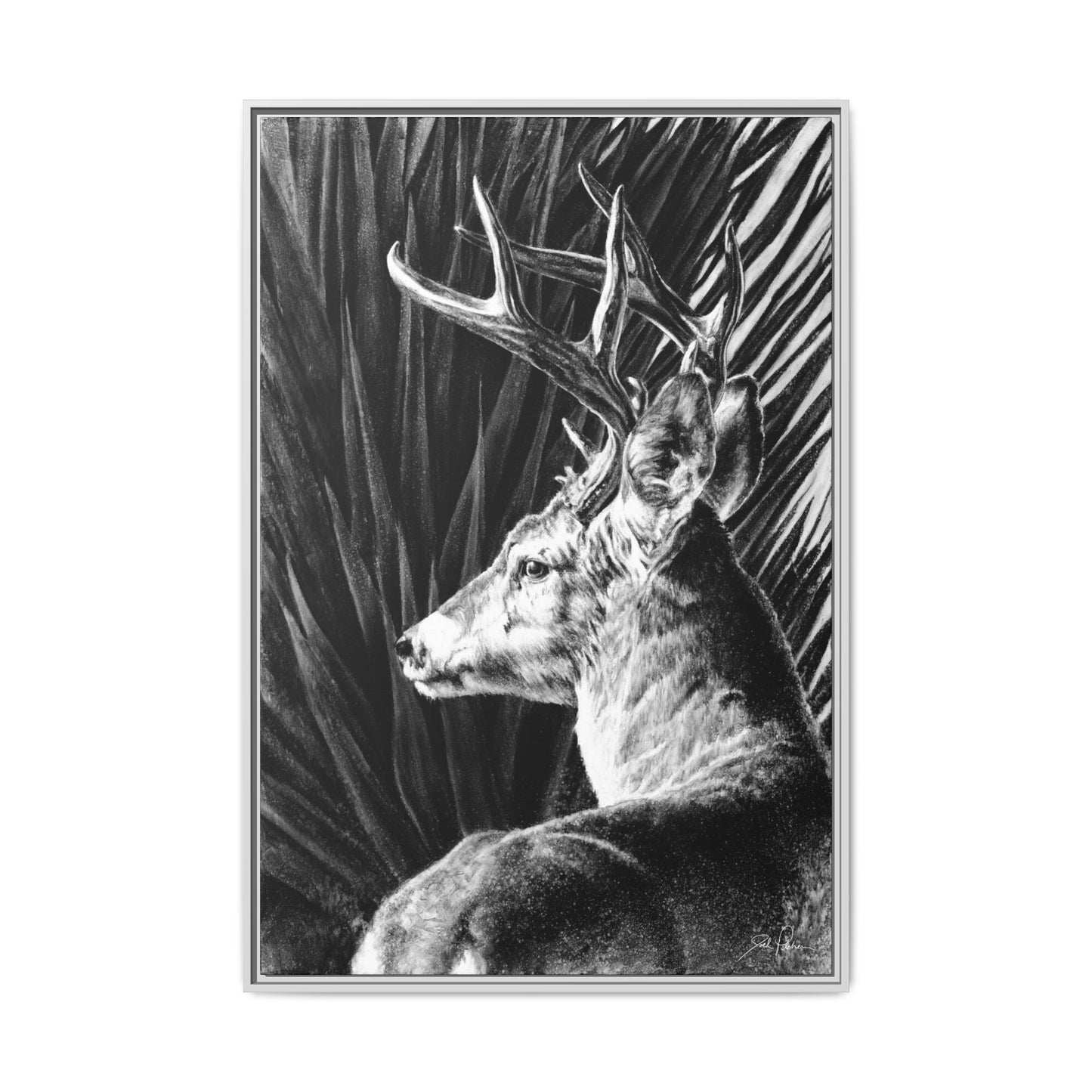 "Coues Buck" Framed Canvas